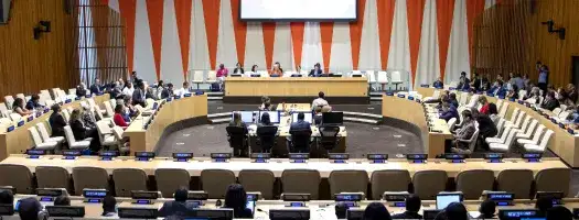 Board of Trustees of UNICRI