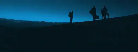 Report terrorism Europe