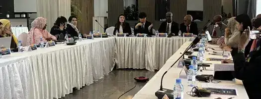 Closing Event: Strengthening Gender-Responsive Approaches to Preventing Violent Extremism in the Sahel