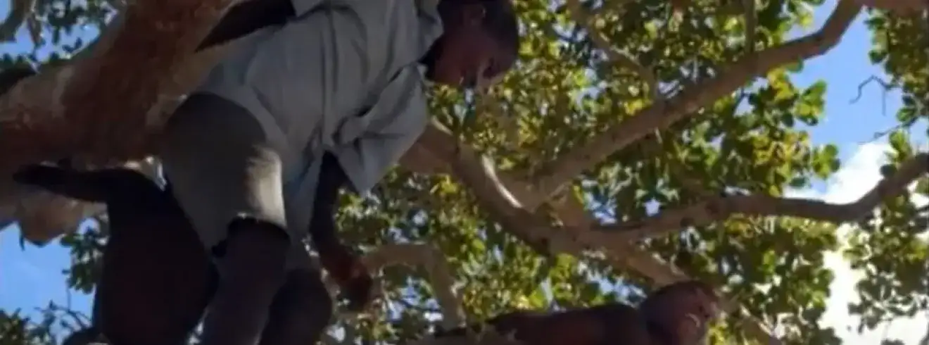 Juvenile Justice Section Banner