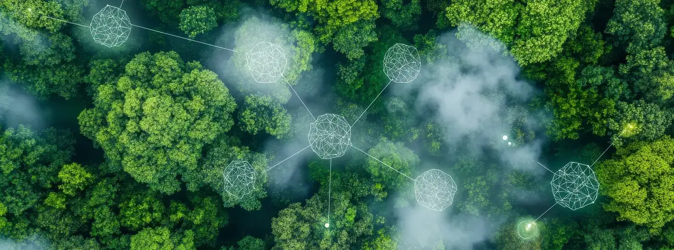 Winter School on Environmental Crimes, 17-21 November 2025, Online Section Banner