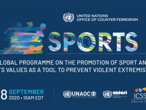 High-Level meeting on Sports PVE