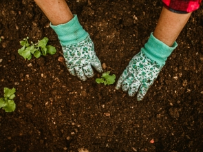 Sustainable Practices in Correctional Facilities