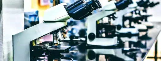 Biosecurity Initiative