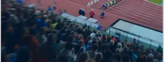 Guide Security of Major Sporting Events