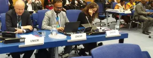 UNICRI’s Impact and Initiatives Highlighted by Acting Director Leif Villadsen at the CCPCJ Session