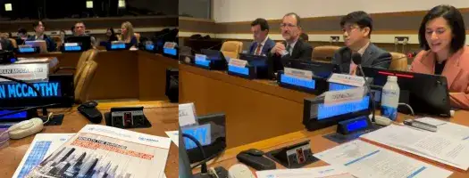 UNICRI-UNCCT/UNOCT Joint Report Launching Event