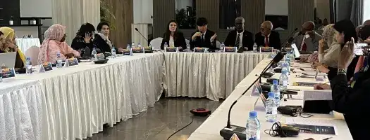 Closing Event: Strengthening Gender-Responsive Approaches to Preventing Violent Extremism in the Sahel